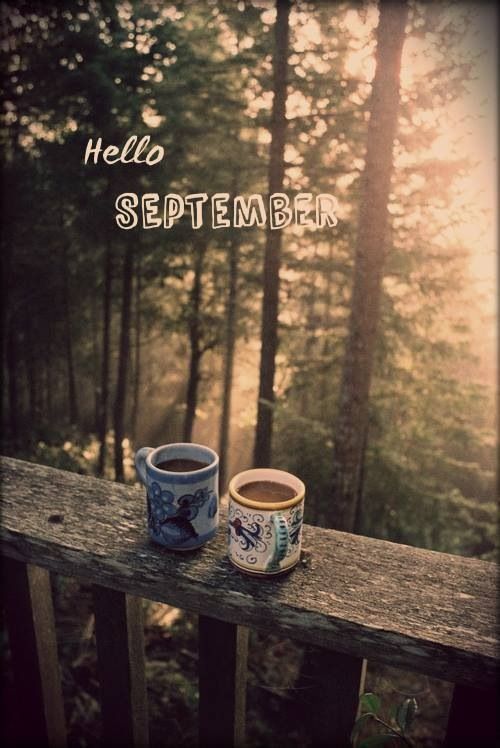 hellosept